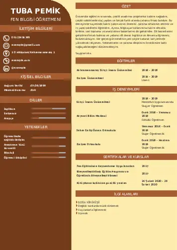 cv indir